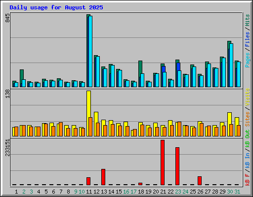 Daily usage for August 2025