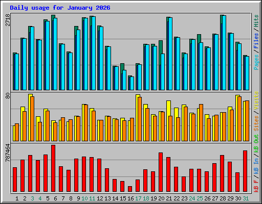 Daily usage for January 2026