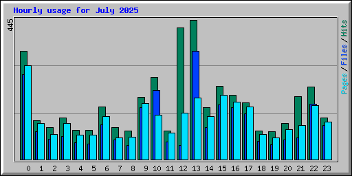 Hourly usage for July 2025