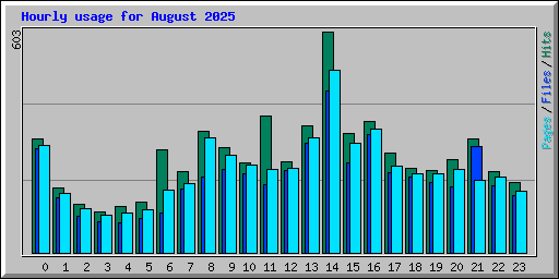 Hourly usage for August 2025