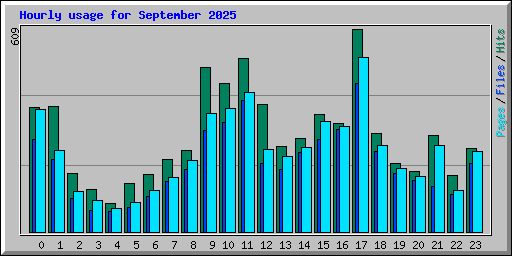 Hourly usage for September 2025