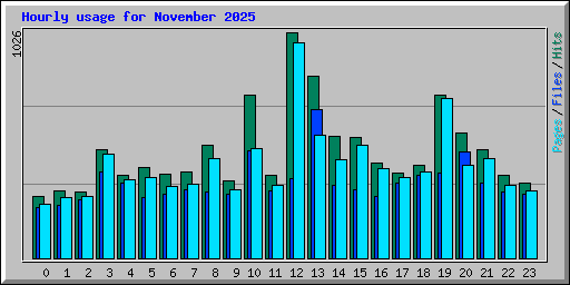 Hourly usage for November 2025