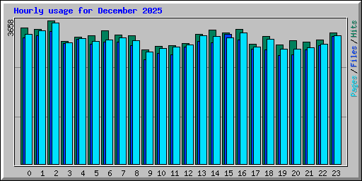 Hourly usage for December 2025