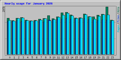 Hourly usage for January 2026