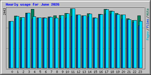 Hourly usage for June 2026
